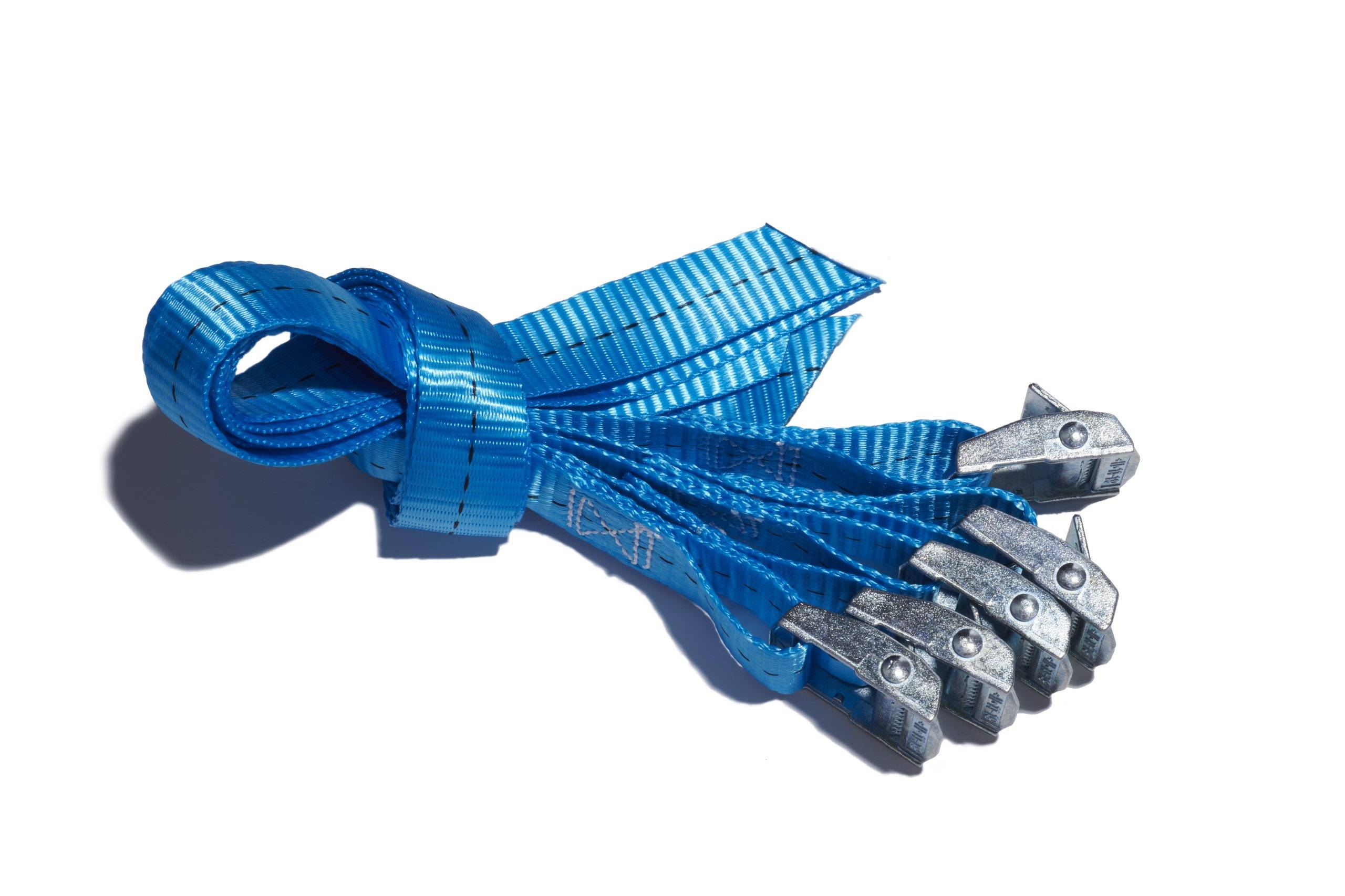 CAM1.0-18,Leon De Oro ,8888332634